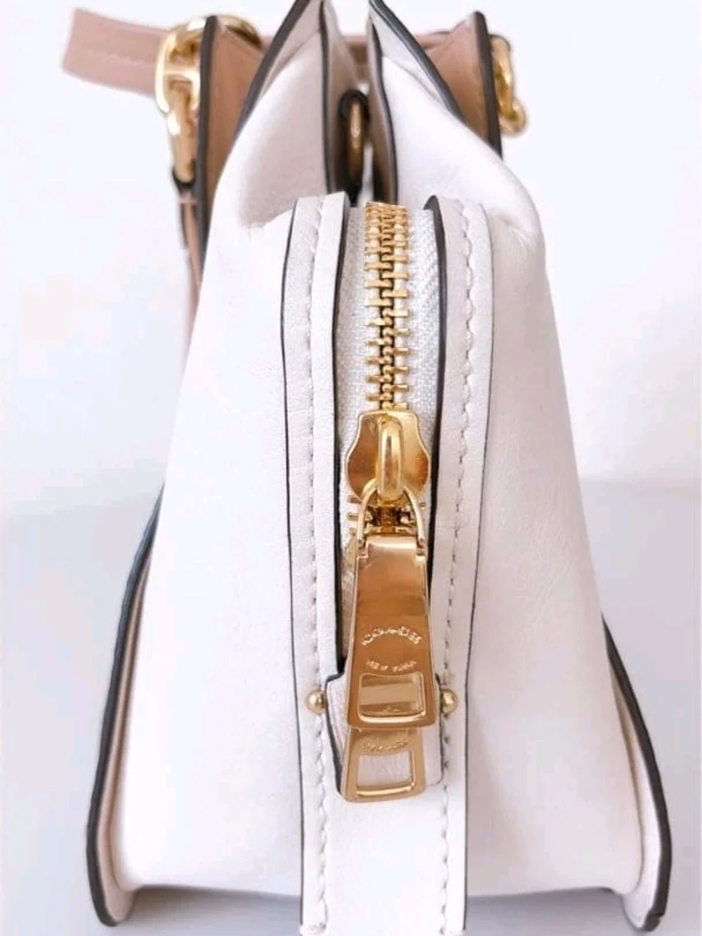 Coach Dreamer 36 in Colorblock with Genuine Snakeskin Details